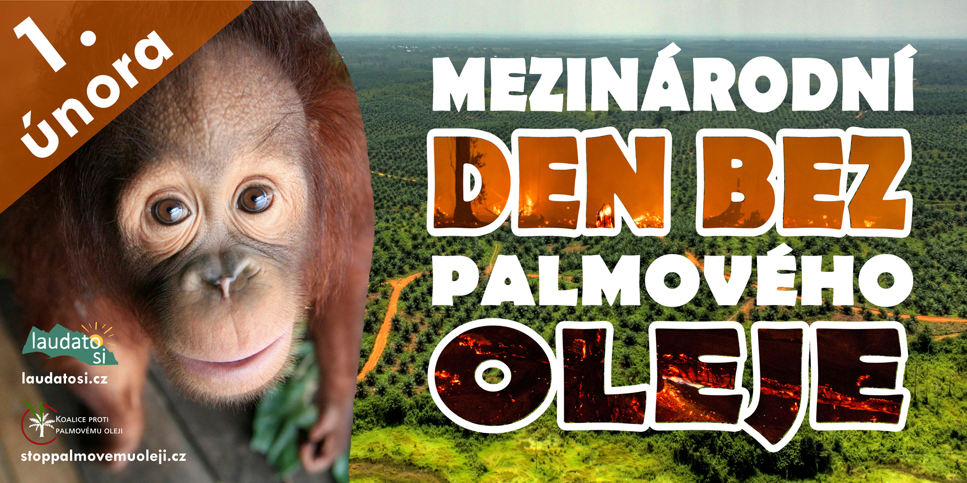 1. únor - Mezinárodní den bez palmového oleje